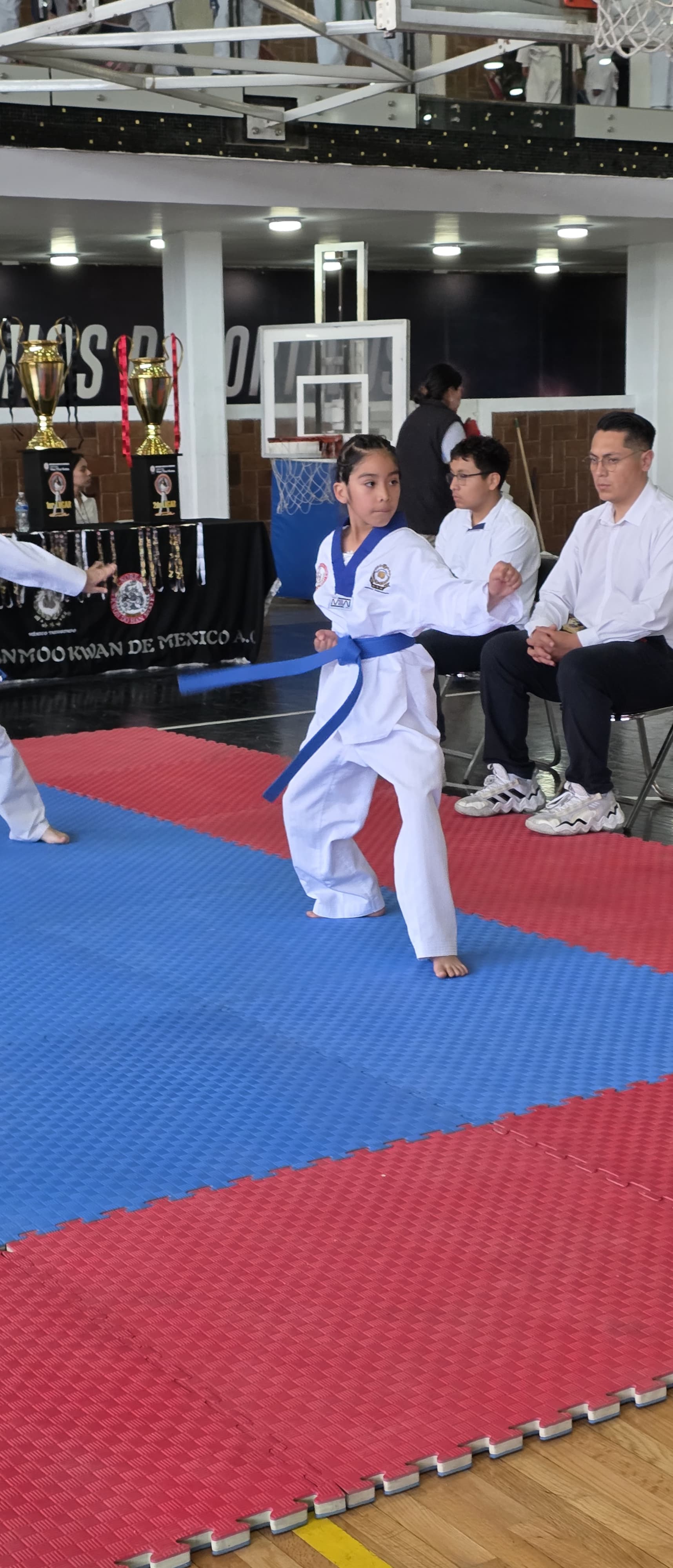 XXVI Copa Han Moo Kwan 2026 - Poomsae