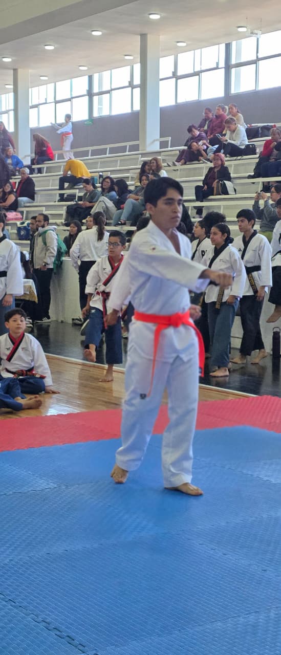 XXVI Copa Han Moo Kwan 2026 - Poomsae