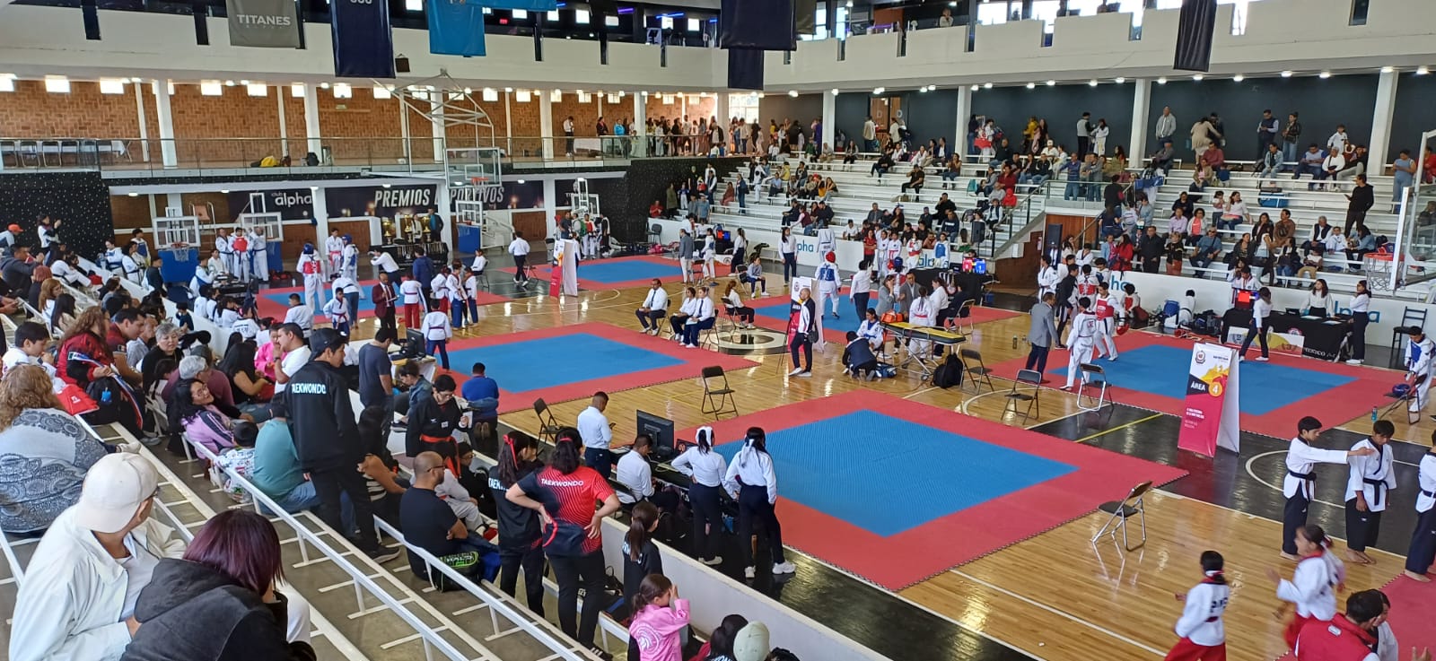 XXVI Copa Han Moo Kwan 2026 - ¡Muchas gracias a todos!