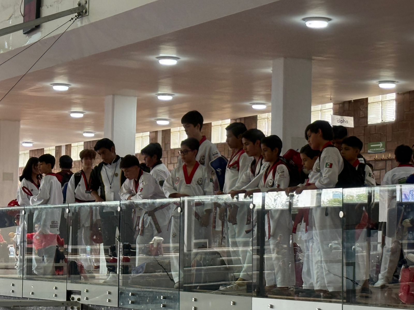 XXVI Copa Han Moo Kwan 2026 - Área de gráficas